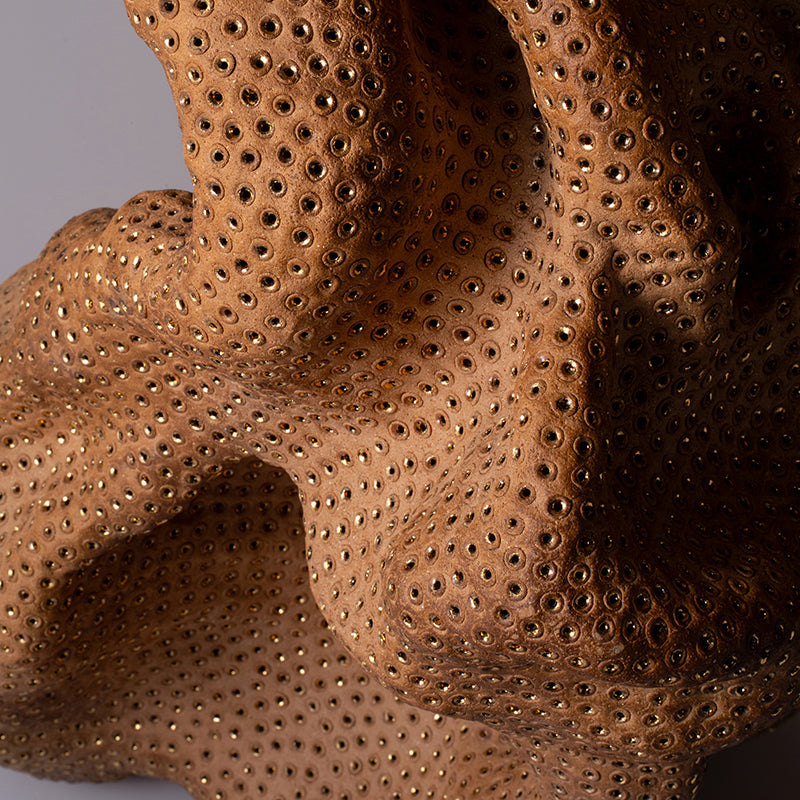 Phantasmagorical Ceramic Sculpture, “Skin of the Earth” ー向井 奈生子 “土の皮Ⅰ”