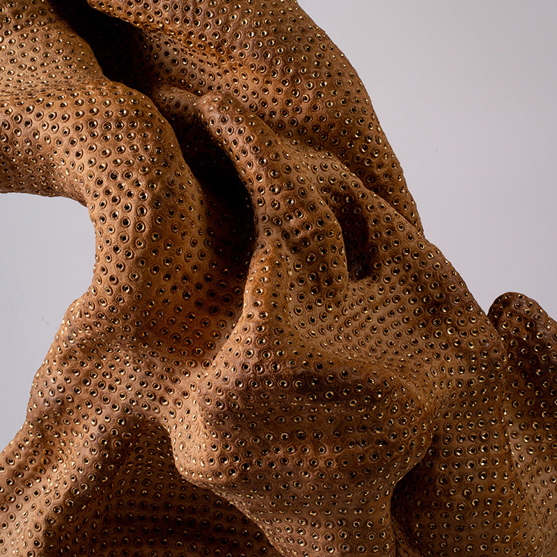 Phantasmagorical Ceramic Sculpture, “Skin of the Earth” ー向井 奈生子 “土の皮Ⅰ”