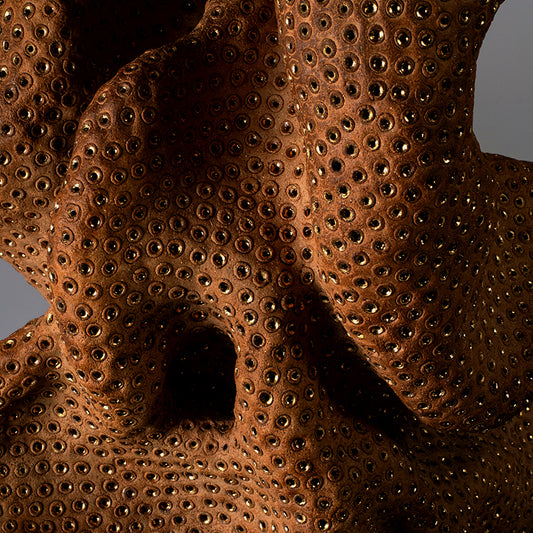 Phantasmagorical Ceramic Sculpture, “Skin of the Earth” ー向井 奈生子 “土の皮Ⅰ”