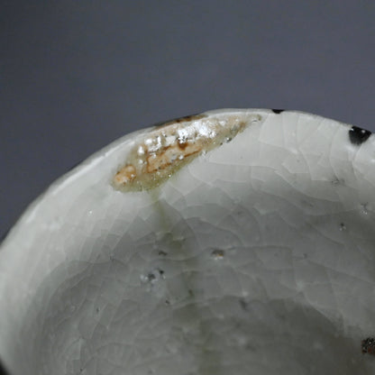 Huge Shochu Nomi Sake Cup ー村越 琢磨 "春秋茶碗"