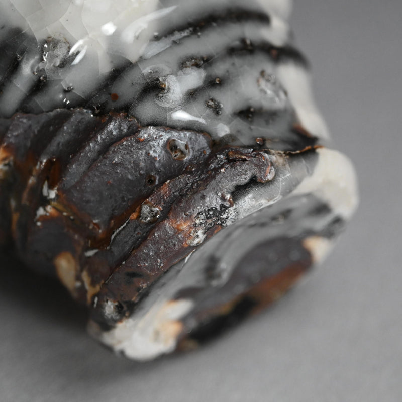 Huge Shochu Nomi Sake Cup ー村越 琢磨 "春秋茶碗"