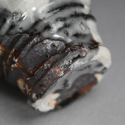 Huge Shochu Nomi Sake Cup ー村越 琢磨 "春秋茶碗"