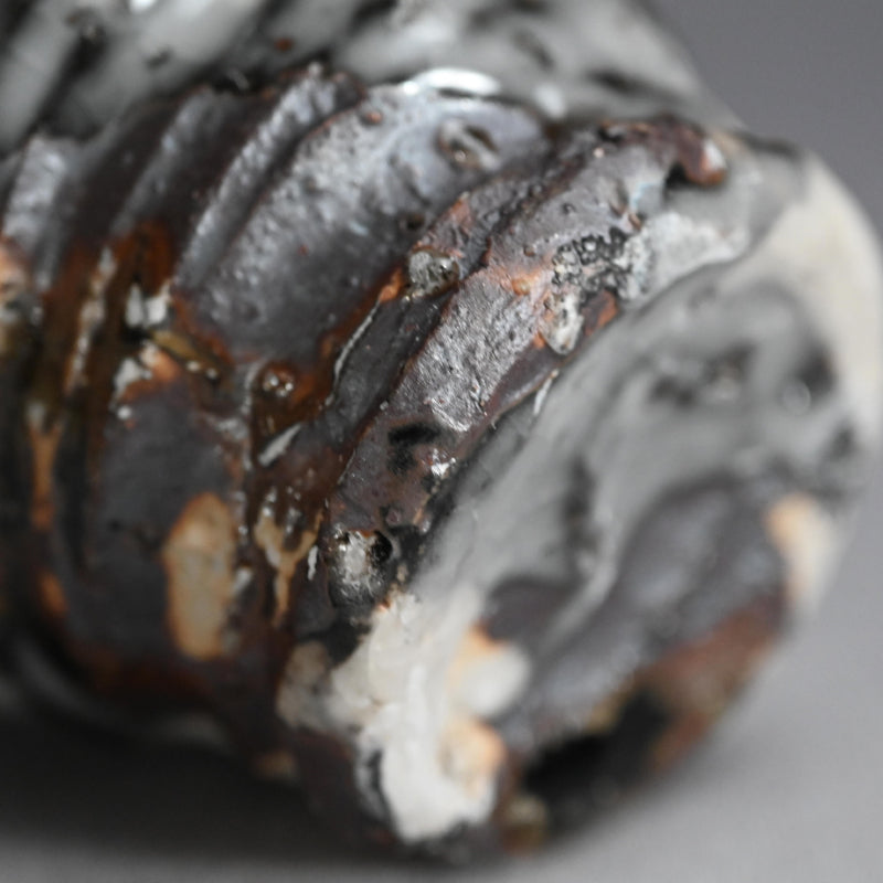 Huge Shochu Nomi Sake Cup ー村越 琢磨 "春秋茶碗"