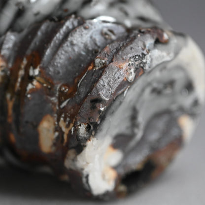 Huge Shochu Nomi Sake Cup ー村越 琢磨 "春秋茶碗"