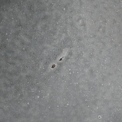 Minimal Thin Serving Platter ー松下 広樹 “普賢八寸皿”