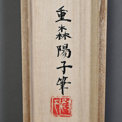 Colorful Ceramic Plate Study Scroll, Sara no Keshiki ー重森 陽子 "皿ノ景色"