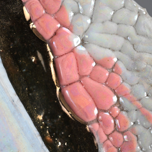 6 pc. Mamezara Dish Set ー市川 透 “悦 食の器”