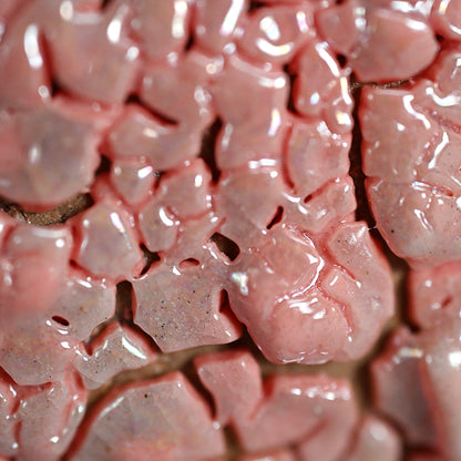 Vessel of Elegance ー市川 透 “花器 雅”