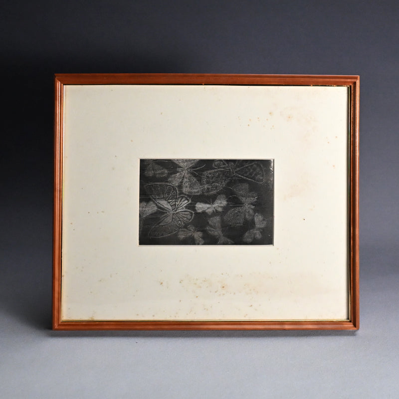 Untitled, monotype, circa 1965, Butterflies ー野村 耕