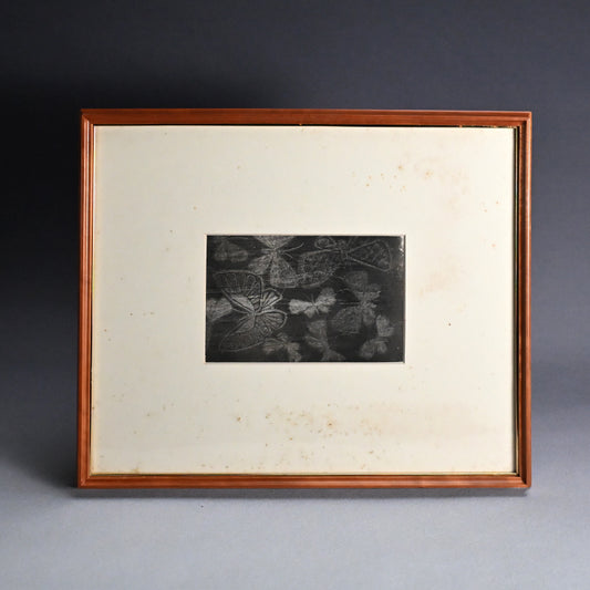 Untitled, monotype, circa 1965, Butterflies ー野村 耕