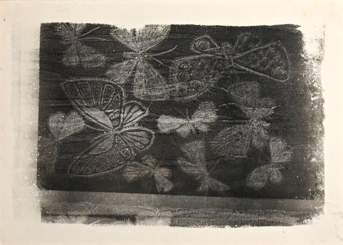 Untitled, monotype, circa 1965, Butterflies ー野村 耕