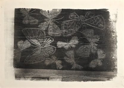 Untitled, monotype, circa 1965, Butterflies ー野村 耕