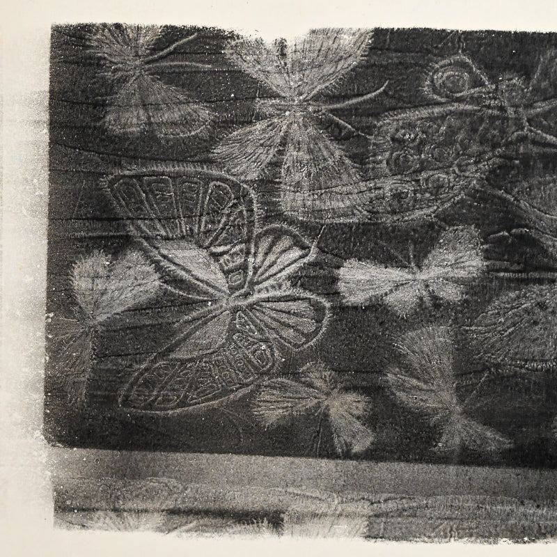 Untitled, monotype, circa 1965, Butterflies ー野村 耕