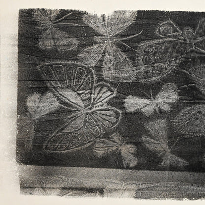 Untitled, monotype, circa 1965, Butterflies ー野村 耕