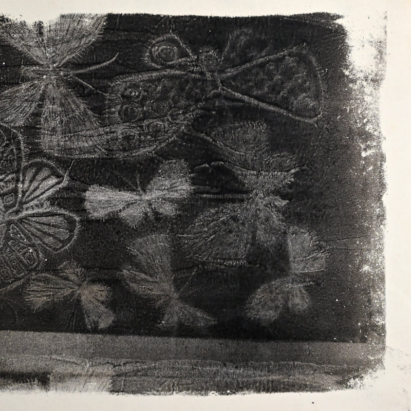 Untitled, monotype, circa 1965, Butterflies ー野村 耕