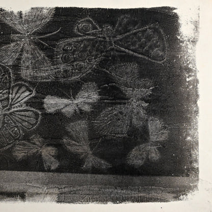 Untitled, monotype, circa 1965, Butterflies ー野村 耕