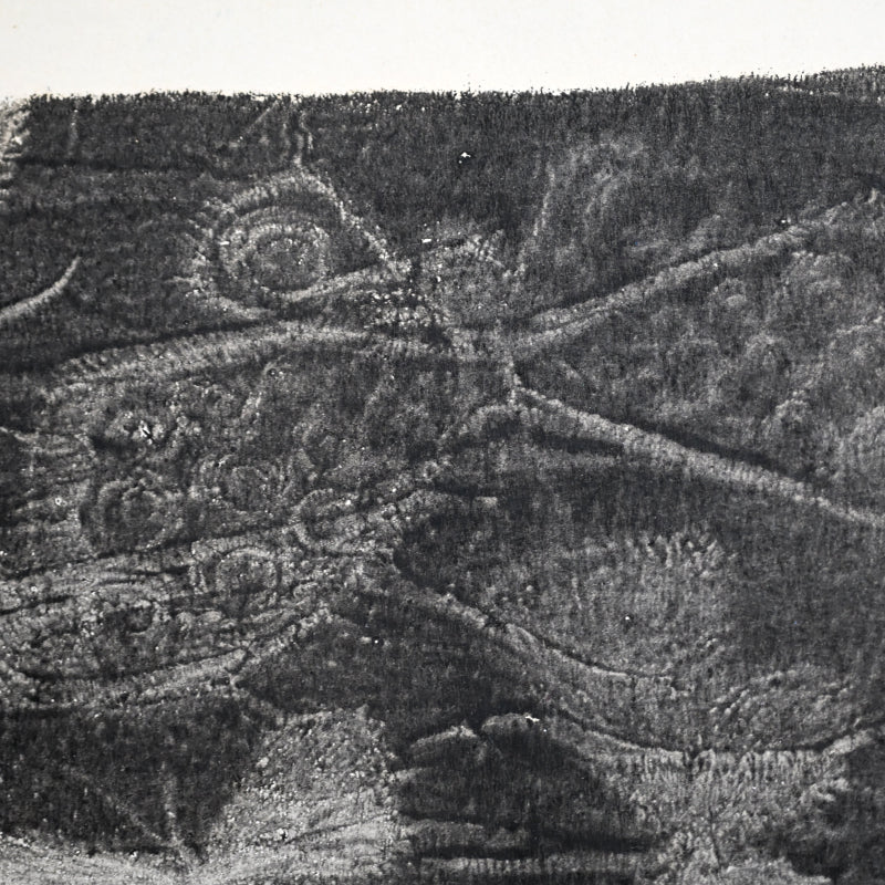 Untitled, monotype, circa 1965, Butterflies ー野村 耕