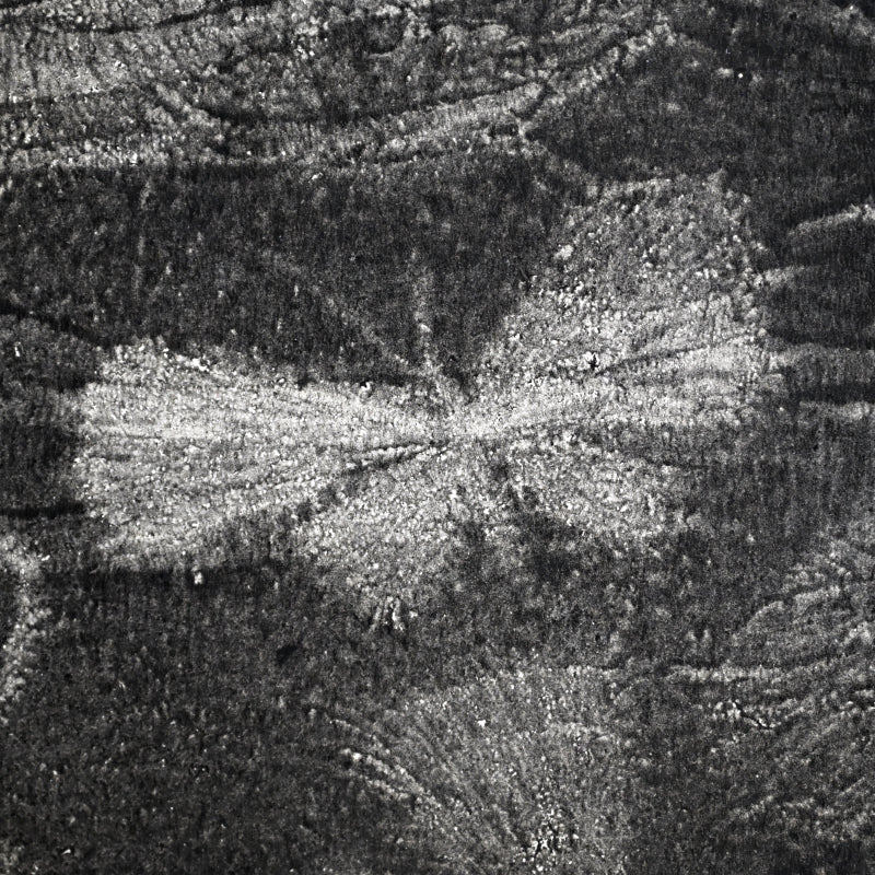 Untitled, monotype, circa 1965, Butterflies ー野村 耕