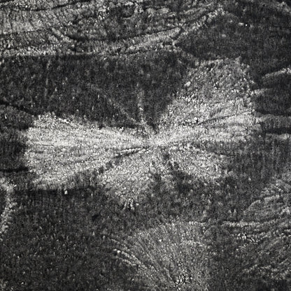 Untitled, monotype, circa 1965, Butterflies ー野村 耕