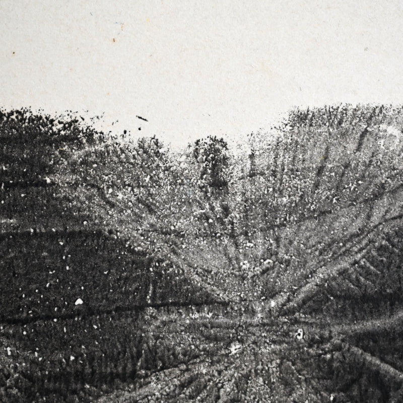 Untitled, monotype, circa 1965, Butterflies ー野村 耕