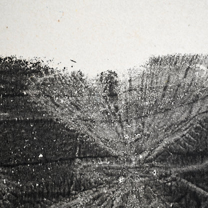 Untitled, monotype, circa 1965, Butterflies ー野村 耕