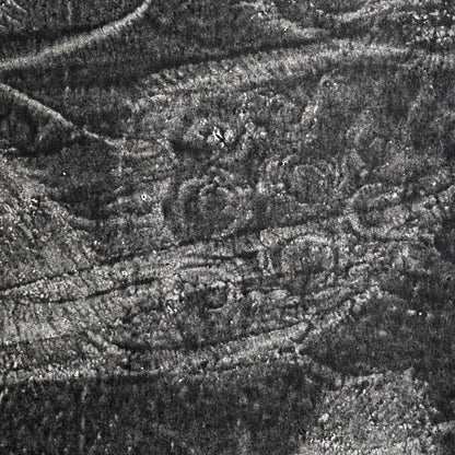 Untitled, monotype, circa 1965, Butterflies ー野村 耕