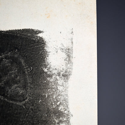 Untitled, monotype, circa 1965, Butterflies ー野村 耕