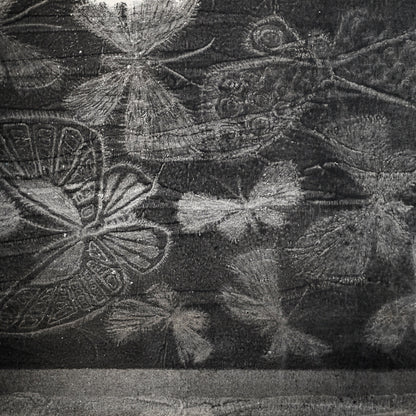 Untitled, monotype, circa 1965, Butterflies ー野村 耕