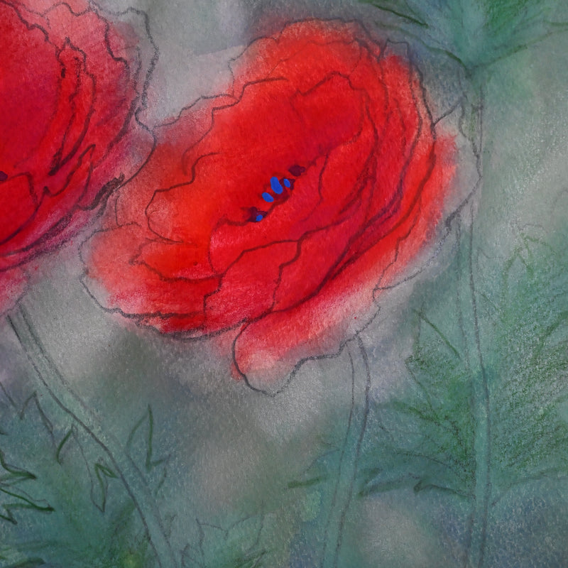 Red Poppies, Framed Work ー野村 耕