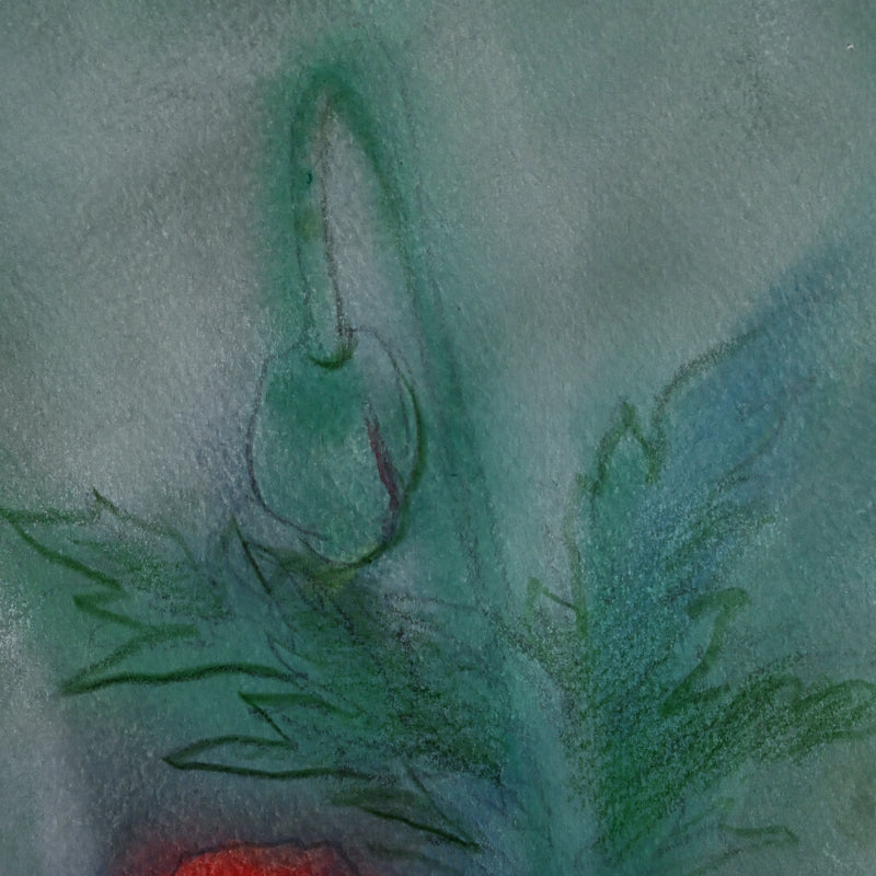 Red Poppies, Framed Work ー野村 耕