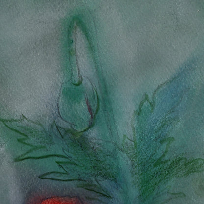 Red Poppies, Framed Work ー野村 耕