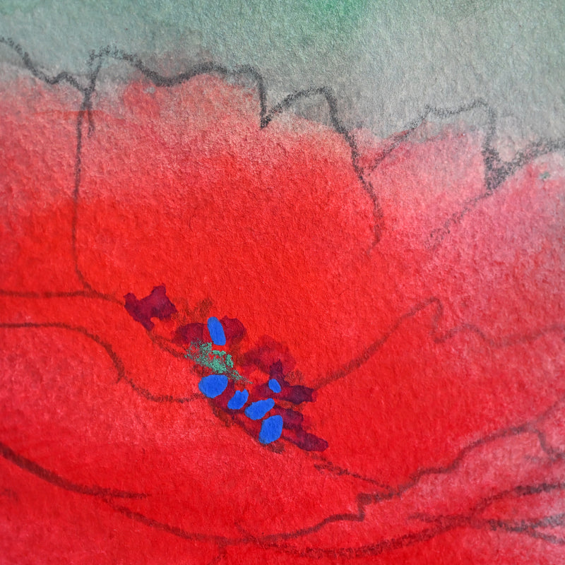 Red Poppies, Framed Work ー野村 耕