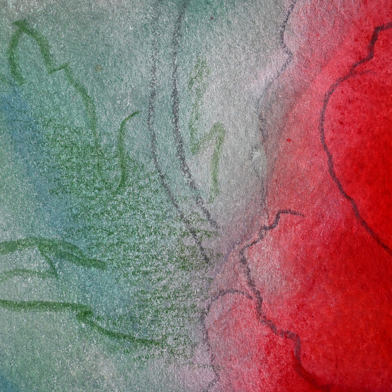 Red Poppies, Framed Work ー野村 耕