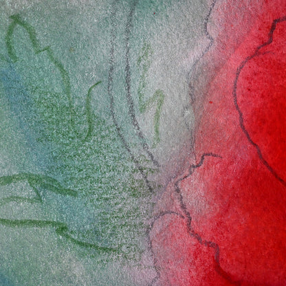 Red Poppies, Framed Work ー野村 耕