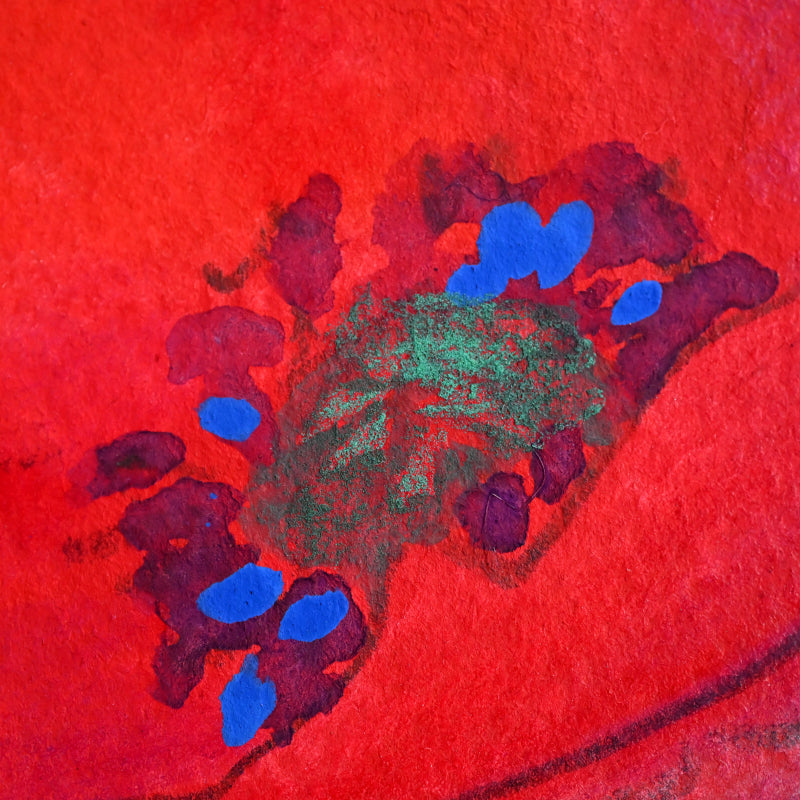 Red Poppies, Framed Work ー野村 耕