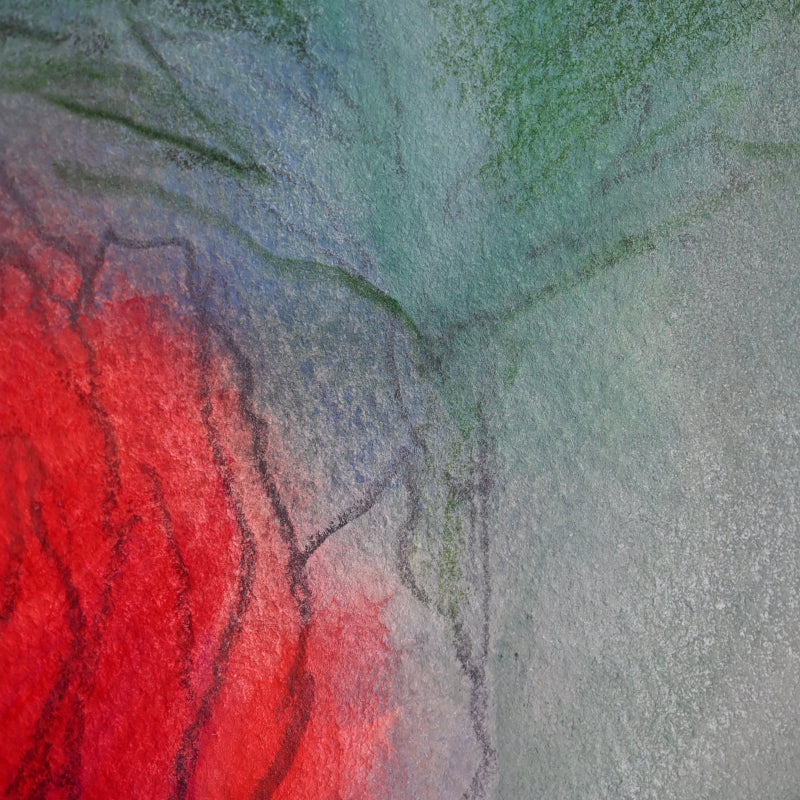 Red Poppies, Framed Work ー野村 耕