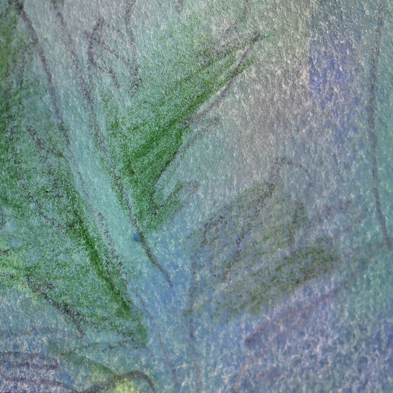 Red Poppies, Framed Work ー野村 耕