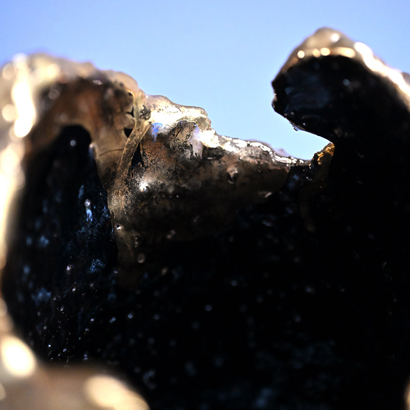 Vase Black Butterfly ー市川 透 “花器 黒蝶”