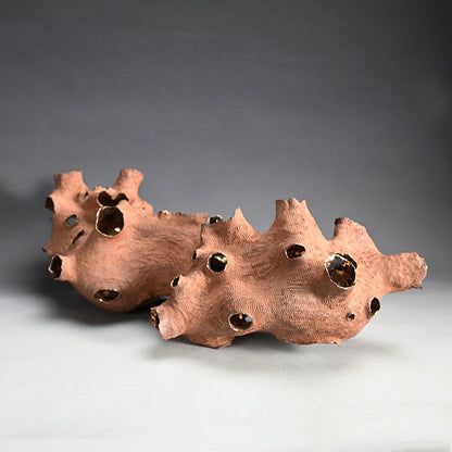Young Female Artist Gold Glazed Ceramic Sculpture ー向井 奈生子 “土の皮Ⅳ”