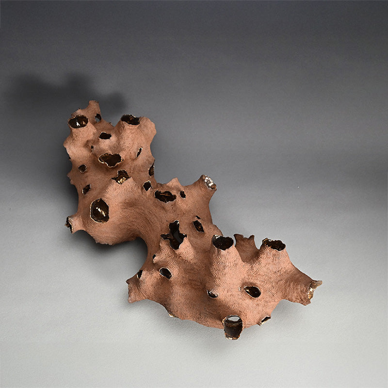 Young Female Artist Gold Glazed Ceramic Sculpture ー向井 奈生子 “土の皮Ⅳ”