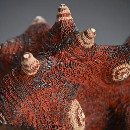 Red Coral Organism Container ー向井 奈生子 “蓋物 紅礁”