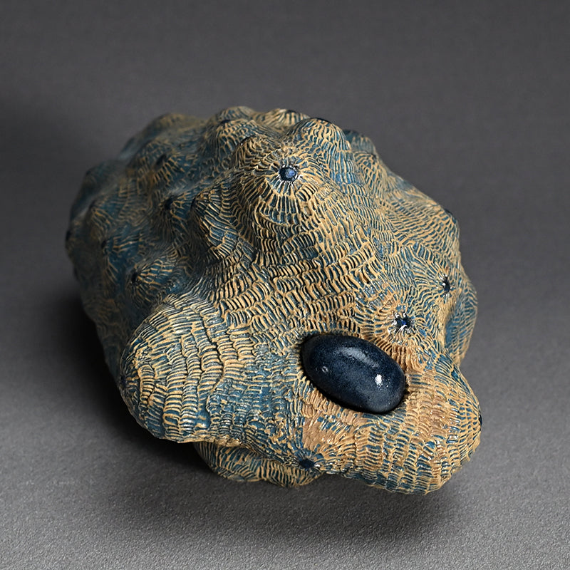 Female Sculptor Blue Shell ー向井 奈生子 “蓋物 蒼殻”