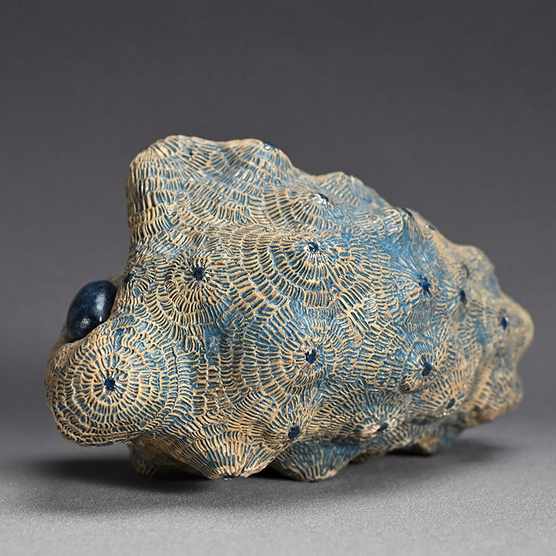 Female Sculptor Blue Shell ー向井 奈生子 “蓋物 蒼殻”