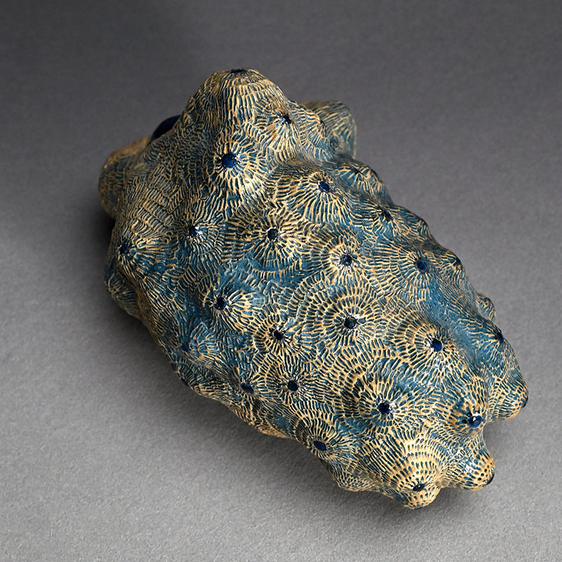 Female Sculptor Blue Shell ー向井 奈生子 “蓋物 蒼殻”