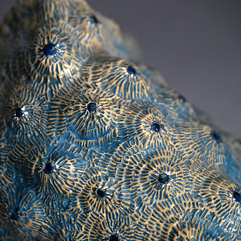 Female Sculptor Blue Shell ー向井 奈生子 “蓋物 蒼殻”