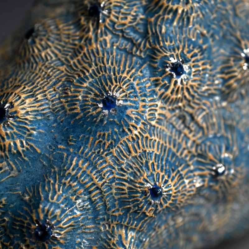 Female Sculptor Blue Shell ー向井 奈生子 “蓋物 蒼殻”