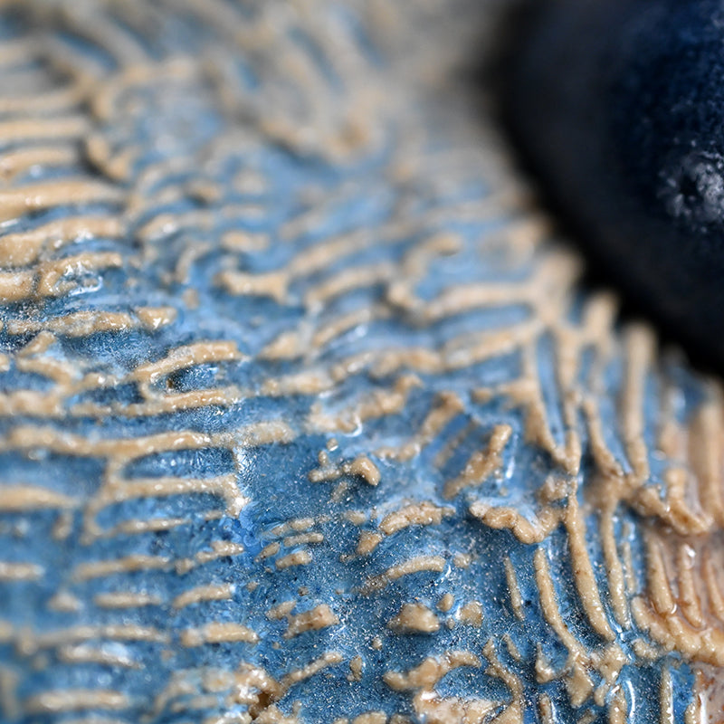 Female Sculptor Blue Shell ー向井 奈生子 “蓋物 蒼殻”