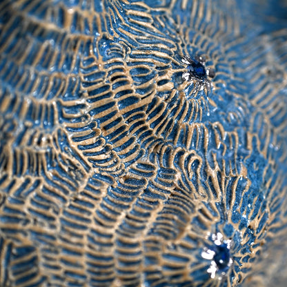 Female Sculptor Blue Shell ー向井 奈生子 “蓋物 蒼殻”