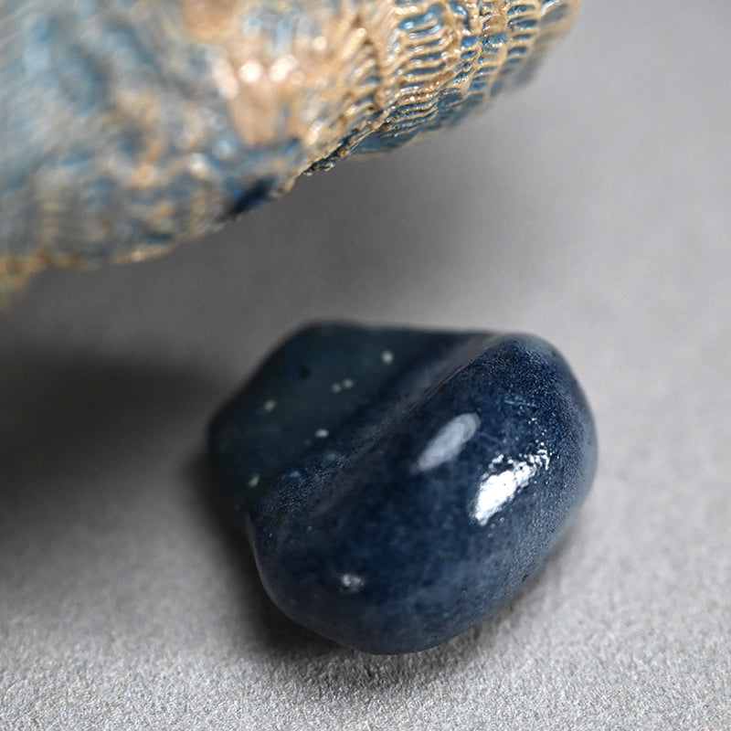 Female Sculptor Blue Shell ー向井 奈生子 “蓋物 蒼殻”