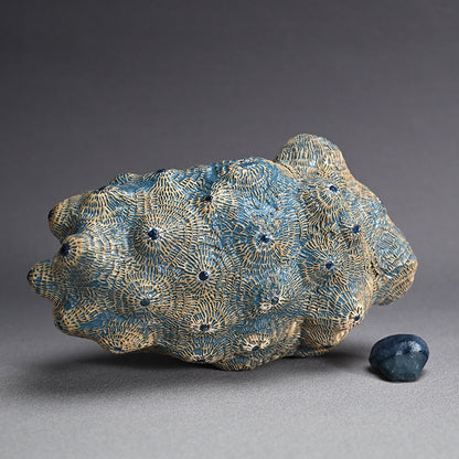 Female Sculptor Blue Shell ー向井 奈生子 “蓋物 蒼殻”